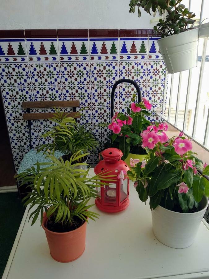 Apartamento Limon مرسية المظهر الخارجي الصورة